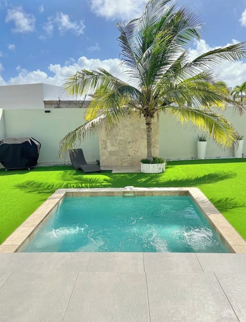 10x10 Feet Plunge Pool