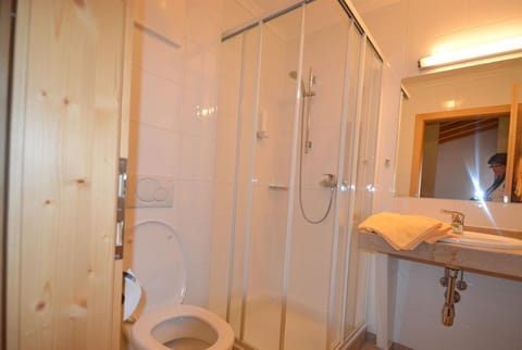 Sun - Appartements Sonneck Apartment in Salzburgerland