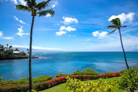 Let the horizon be your companion—immerse yourself in Maui’s finest views from your private retreat     NAP-B26
