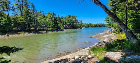 Come paddle or swim on the shoreline!