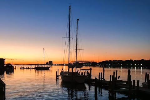 Palm Court Yacht Club Marina