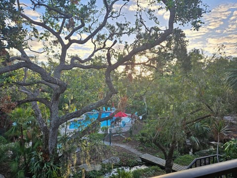 View from back door