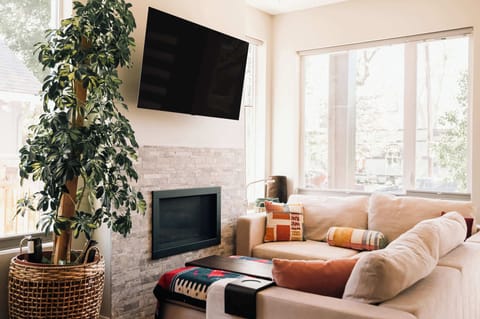 Living area with seating, TV, and gas firepalce