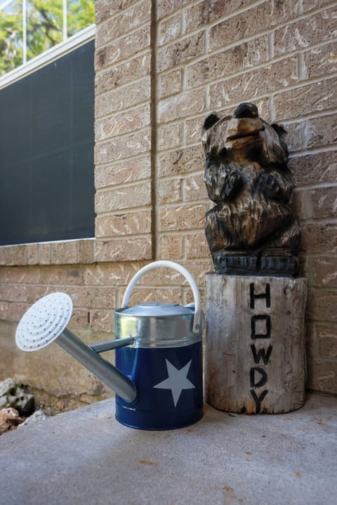 Front yard with Woody ready to greet you.