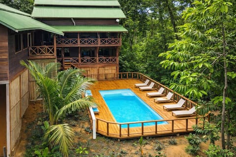 Cool off in the shared pool, surrounded by lush jungle views. Rent a private suite or book the entire 6-suite lodge for a group retreat in paradise!