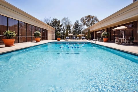 Dive into a sparkling outdoor pool framed by sunlit loungers.