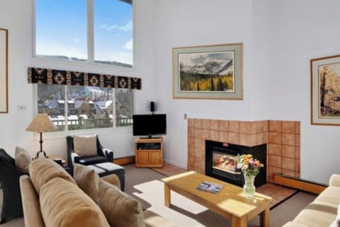 Bright and Comfy Living Room with pull out Queen sofa bed