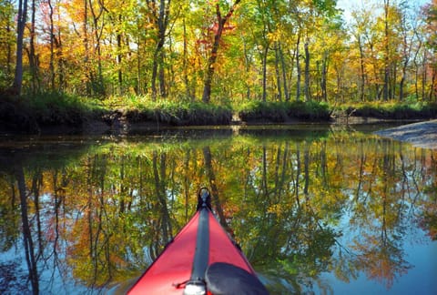 Fall Leaves Kayaking Leaf Peeping