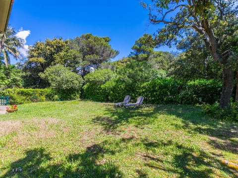 Blue, Green, Vegetation, Shrub, Plant Community, Groundcover, Garden, Lawn, Plantation, Tropics