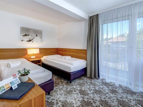 *Family room half board - AlpenParks Hotel & Apartment Maria Alm Apartment in Maria Alm