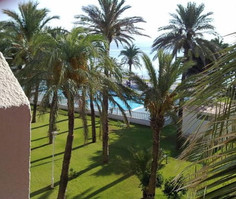 Swimming pool view