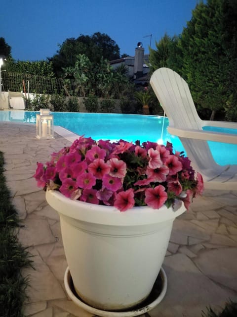 Swimming pool view