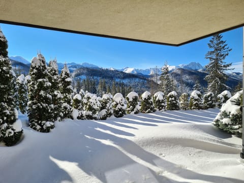 Enjoy the view from the terrace