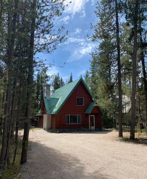 Charming cabin nestled in the trees