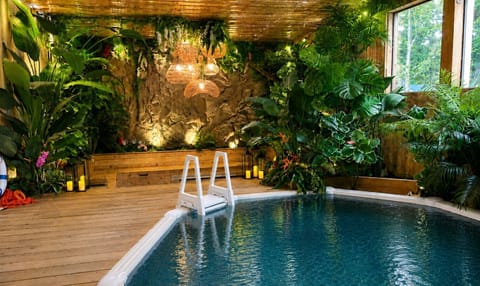 Indoor jungle pool room with rock accent wall, skylights & lush greenery
