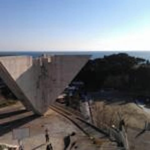 Field (volley/tennis)