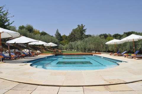Swimming pool view