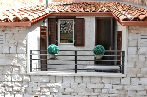 Front view