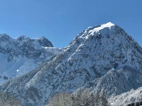 Walserhaus, Austria Apartment in Brand