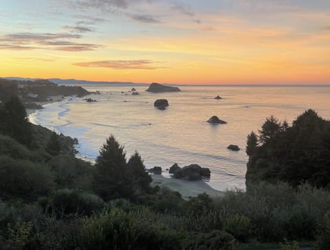 Breathtaking Views of the Coastline from the Balcony & View Window