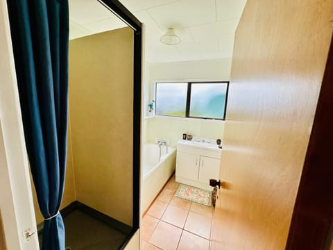 Shower with bath tub