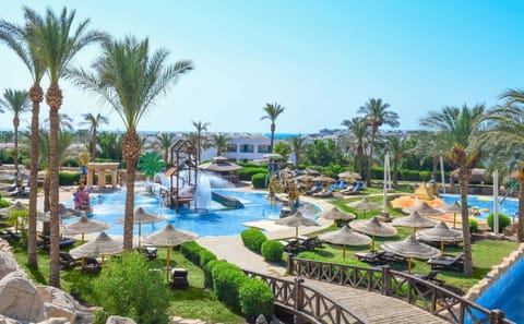Dive into a palm-framed pool paradise with endless lounge space.