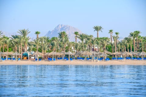 Breathe in sea air from a palm-lined beachfront escape.