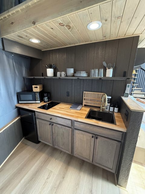 Kitchenette with mini fridge / freezer, cooktop, sink, coffee maker