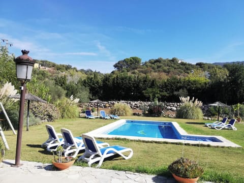 Swimming pool view
