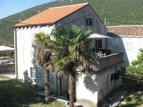 Back view