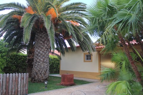 Front view