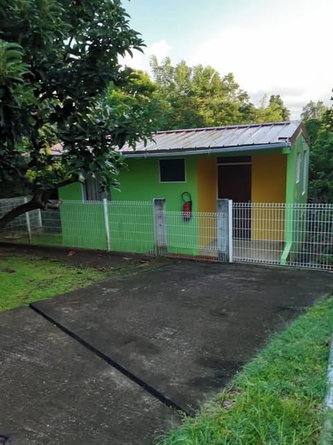 Back view