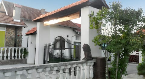 Front view