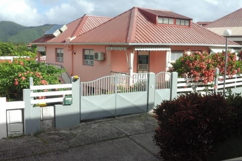 Front view