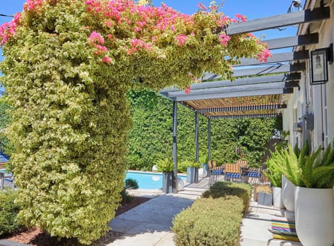 Step into the Oasis garden, where flowering bougainvillea and lush greenery frame a travertine patio with shaded pergola seating. Perfect for outdoor dining or lounging by the pool in complete privacy and comfort.