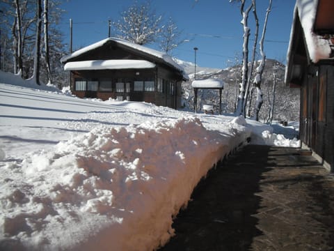 Front view