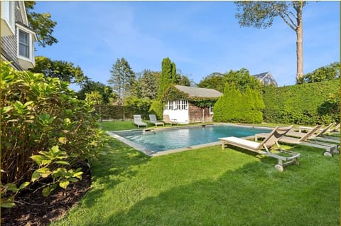 Pool and backyard