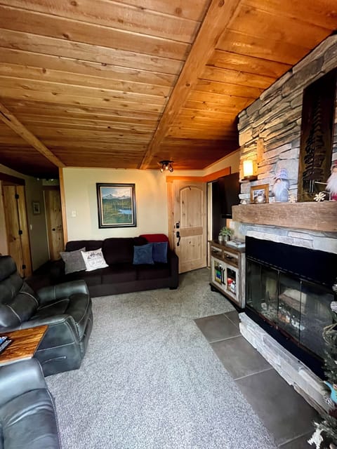 Main Living Area & Queen Sofa Bed