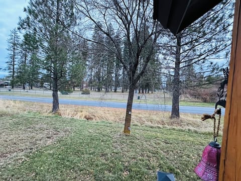 View of City Park across street from home