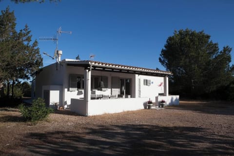Front view