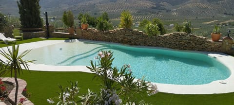 Swimming pool view