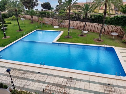 Swimming pool view