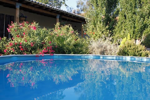 Swimming pool view