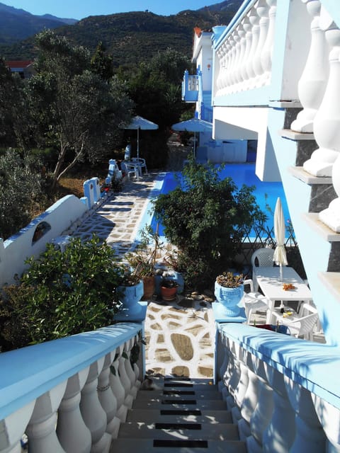 Swimming pool view