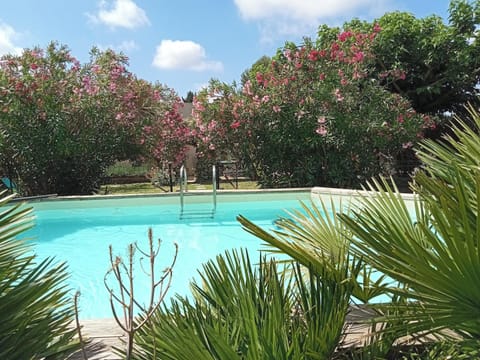 Swimming pool view