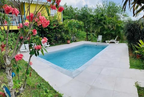 Swimming pool view