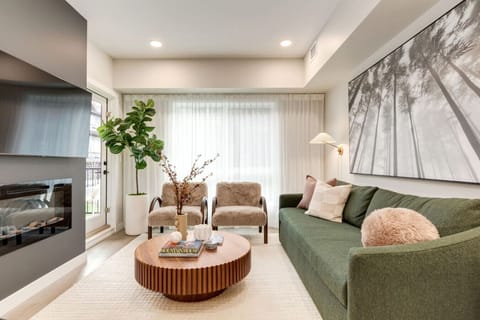 Living area with a sofa bed, TV and a fireplace.