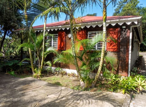 Front view