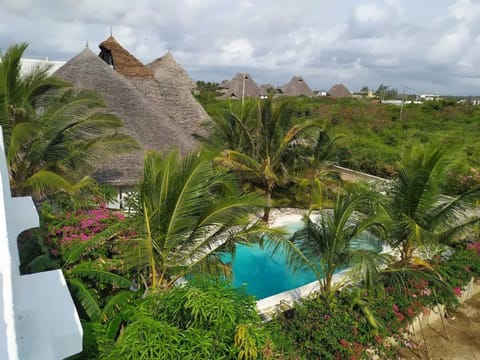 Swimming pool view