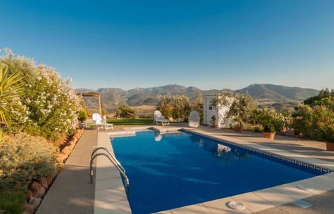 Swimming pool view